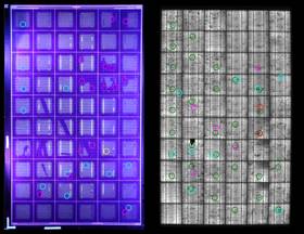 Prostorska karakterizacija